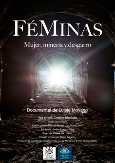 Féminas. Mujer, minería y desgarro